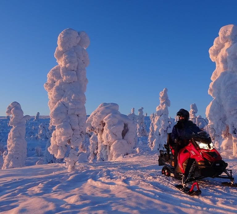 Saariselkä: Avond-sneeuwscootertocht met vuur & picknick