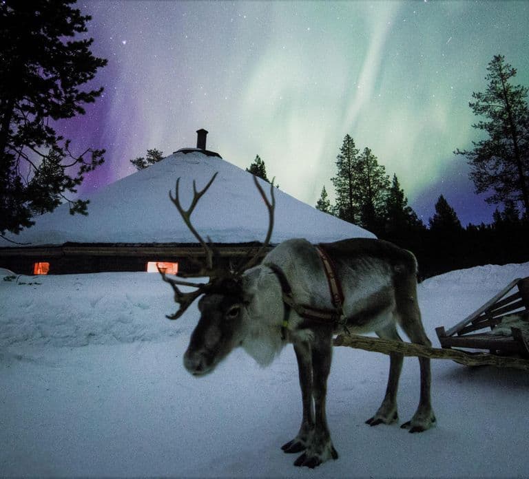 Saariselkä: Tour de Aurora Boreal e Trenó de Renas