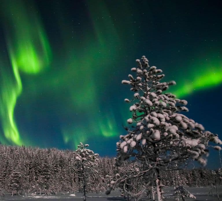Saariselkä: Sneeuwschoenwandeling op zoek naar het noorderlicht