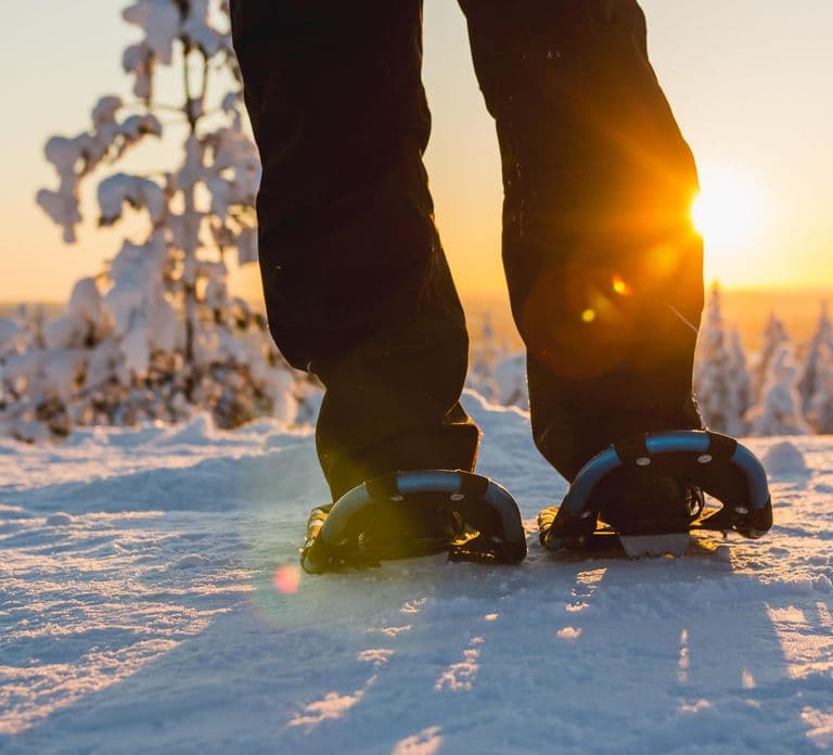 Saariselkä: Malerische Schneeschuh-Safari