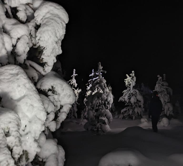Saariselkä: Snowshoeing Tour in Urho Kekkonen National Park