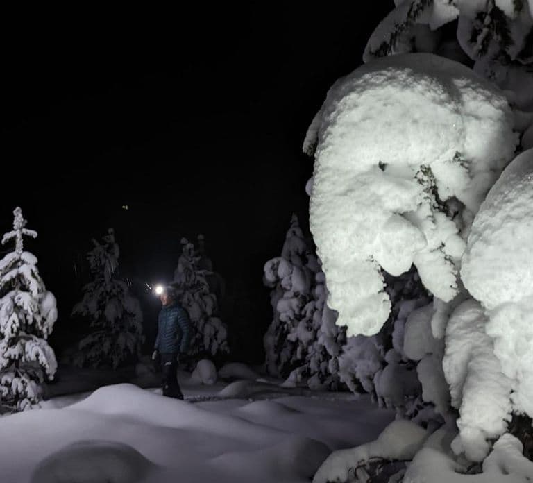 Saariselkä: Snowshoeing Tour in Urho Kekkonen National Park