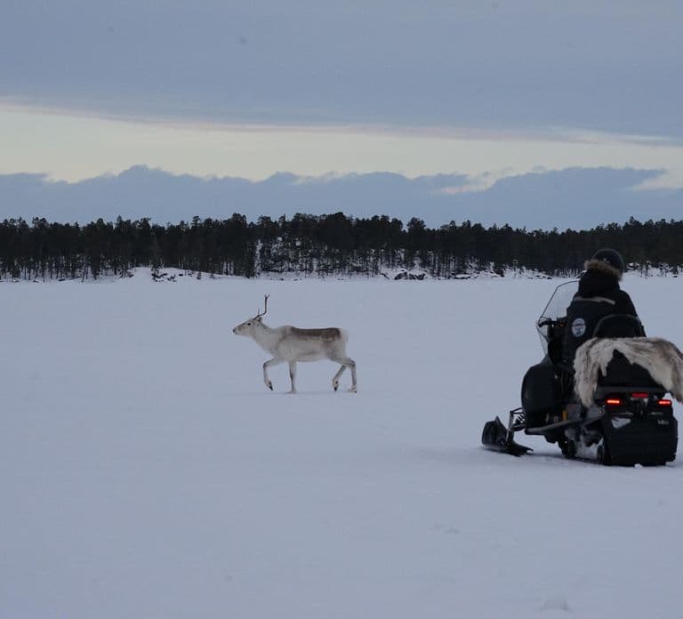 Snowmobile Experience in Muotkantunturi Wilderness Inari 2H