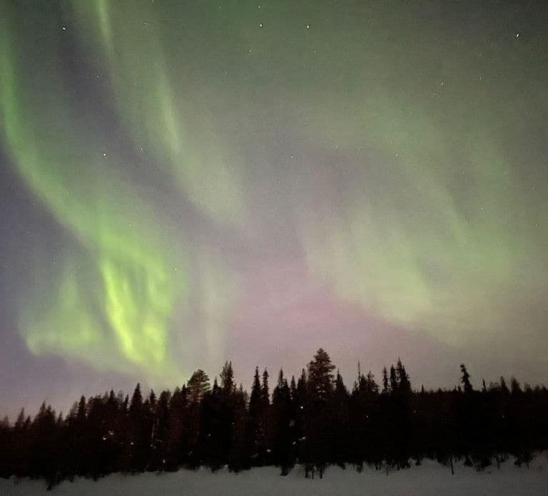 Ylläs : Safari en motoneige sous les aurores boréales avec transferts