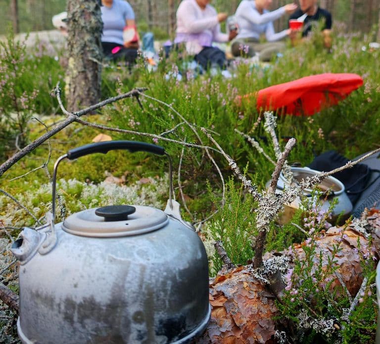 Tampere: Tour di raccolta e degustazione di funghi con pasto