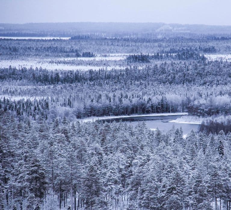 Vikakongas-Wanderung: Natur und Stille