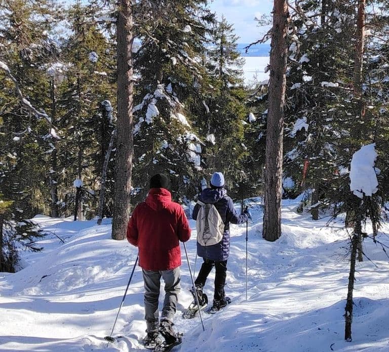 Vuokatti: Schneeschuh-Abenteuer im Wald