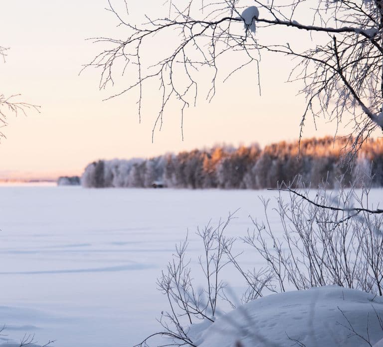 Wilderness Lunch Experience - Vasaraperä Village in Winter