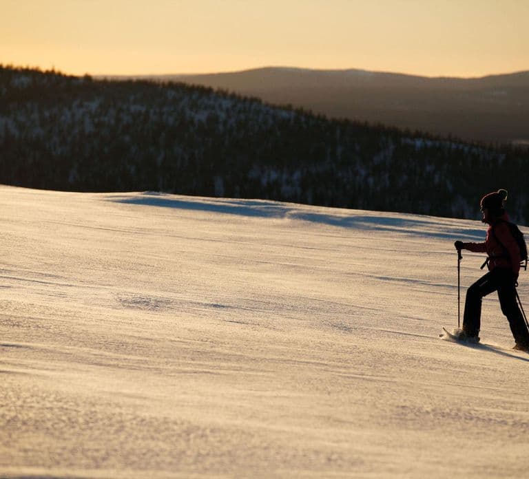 Winter Snowshoeing in the Finnish Wilderness