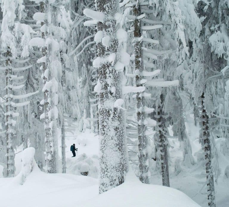 Ylläs : Aventure guidée en raquettes au mont Kesänki