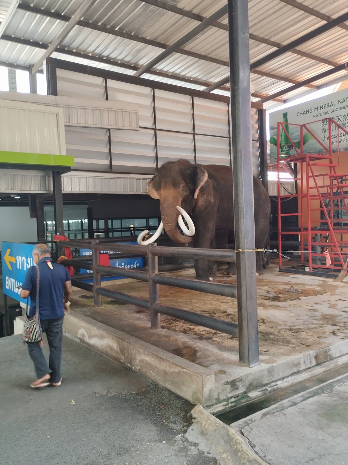 [Thai Resident Only] Nong Nooch Tropical Garden Pattaya