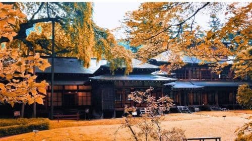 From Tokyo:Private Nikko World Heritage Site Day Tour by Car Day Tours