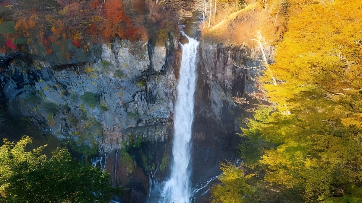 Da Tokyo: Tour privato di un giorno al sito patrimonio mondiale dell'UNESCO di Nikko
