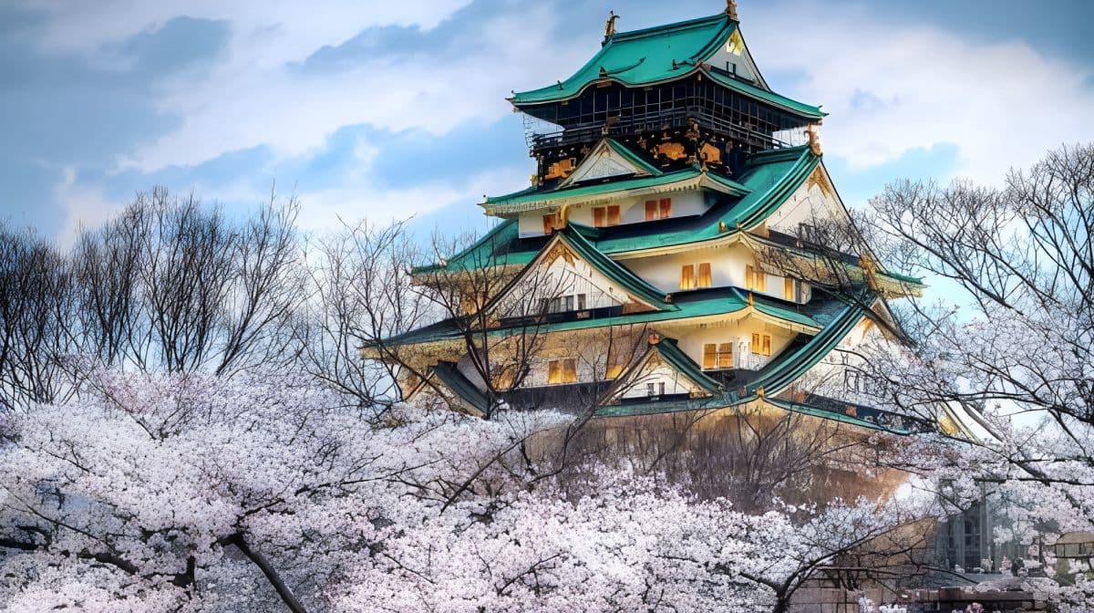 Japan Osaka Amazing Pass