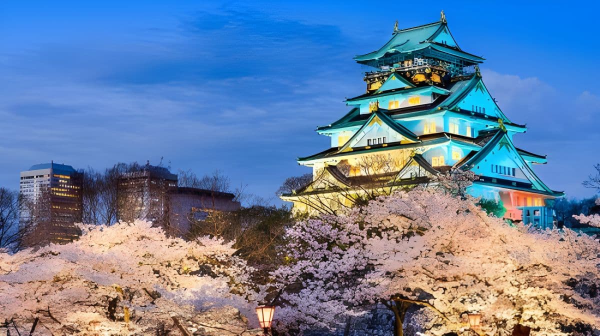 Japan Osaka Amazing Pass
