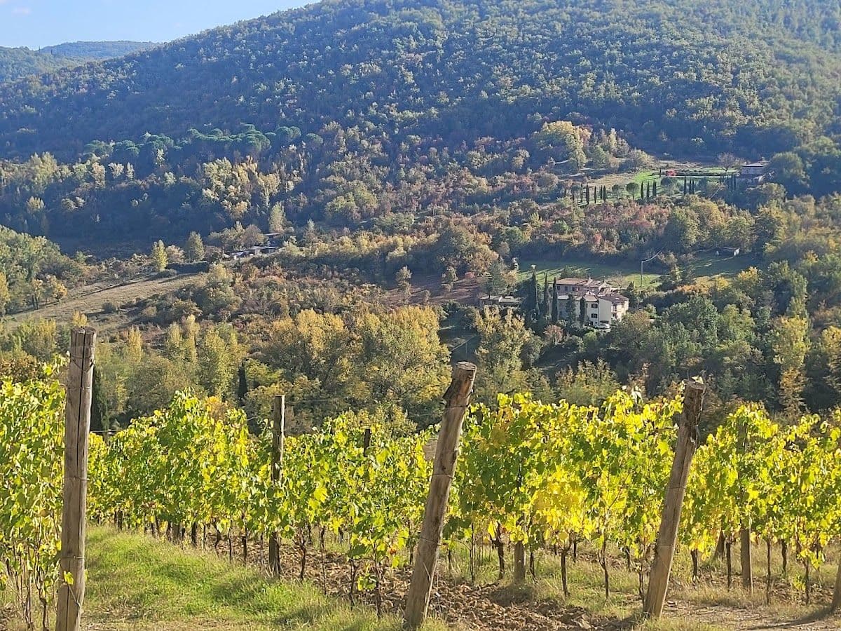 Chianti Winery Tour with 4 Wines Tasting