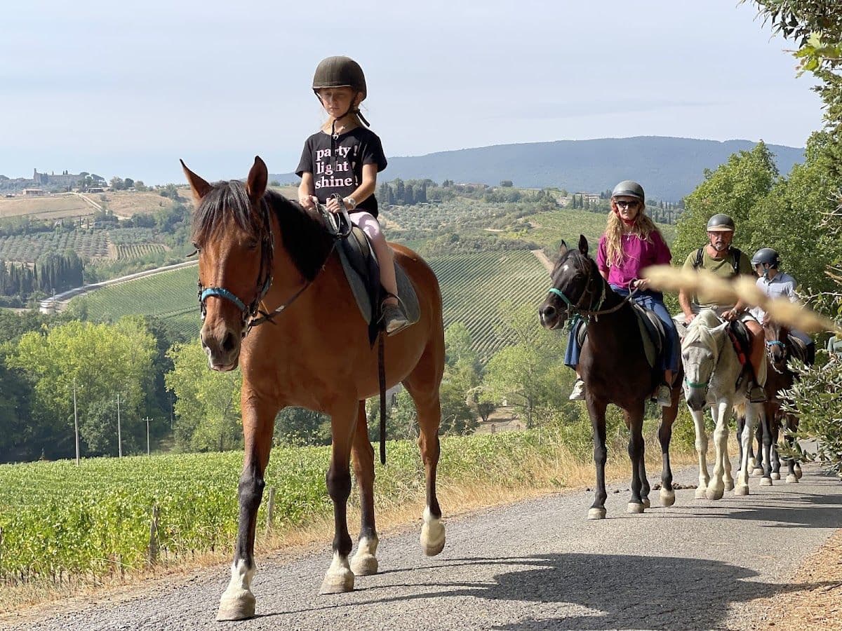 Chianti Winery Tour with 4 Wines Tasting
