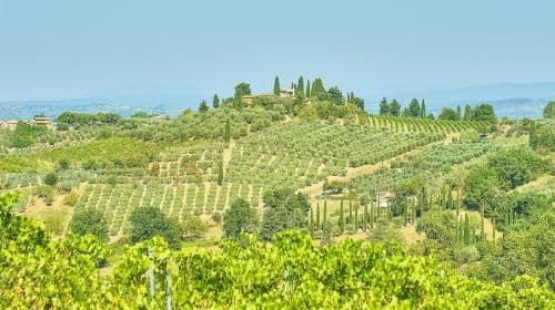 Florence-Pisa Siena and San Gimignano 1-day Tour [English Group] Day Tours