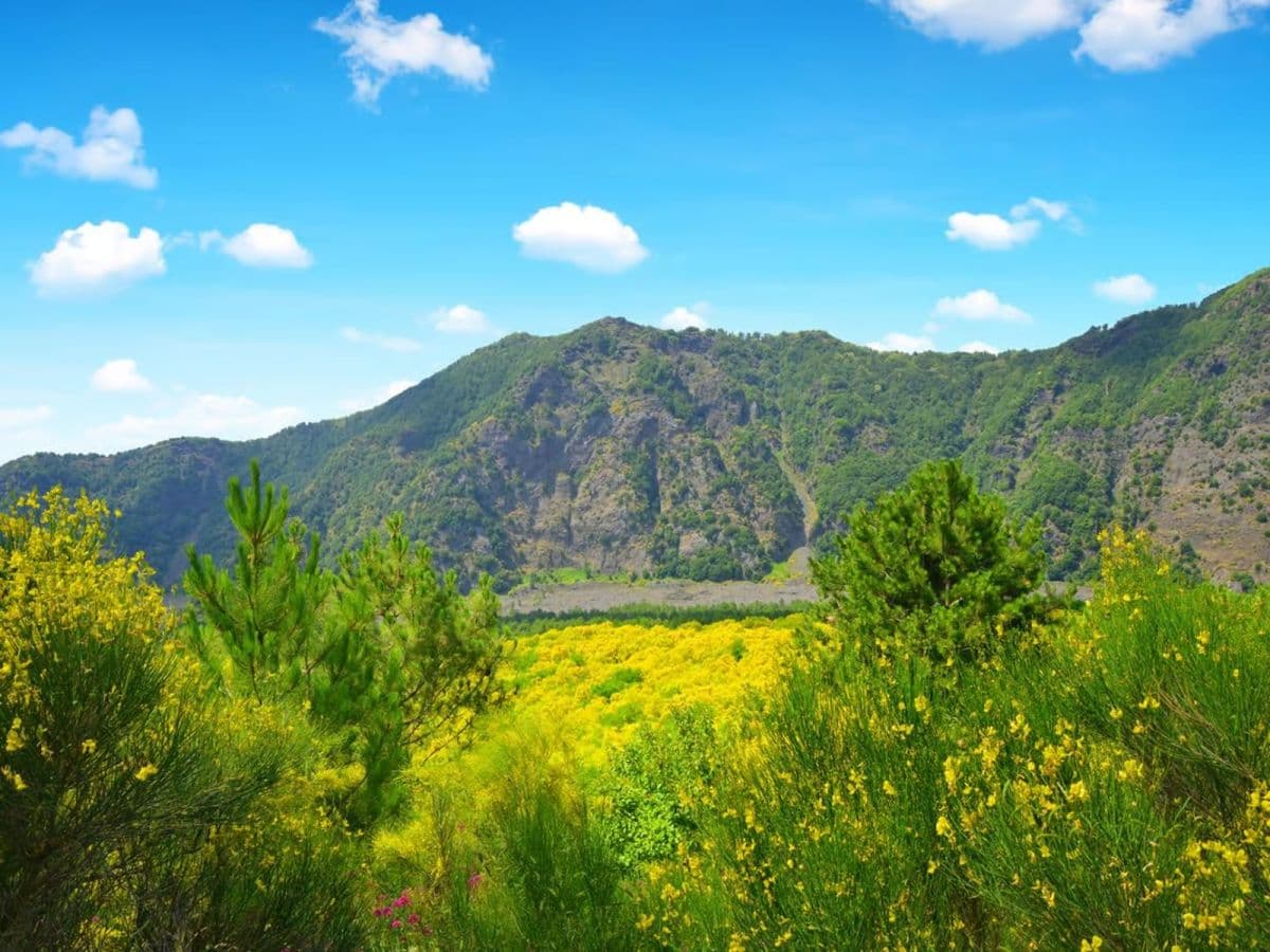 From Naples: Mount Vesuvius 이동 및 입장권