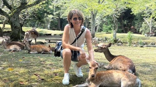 Hiroshima: Miyajima Island Half-Day Tour with Guide Day Tours