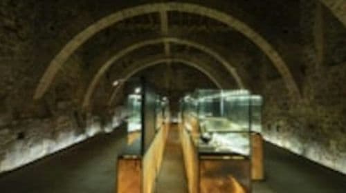 Museum of Brunello and Wine Tasting Adult