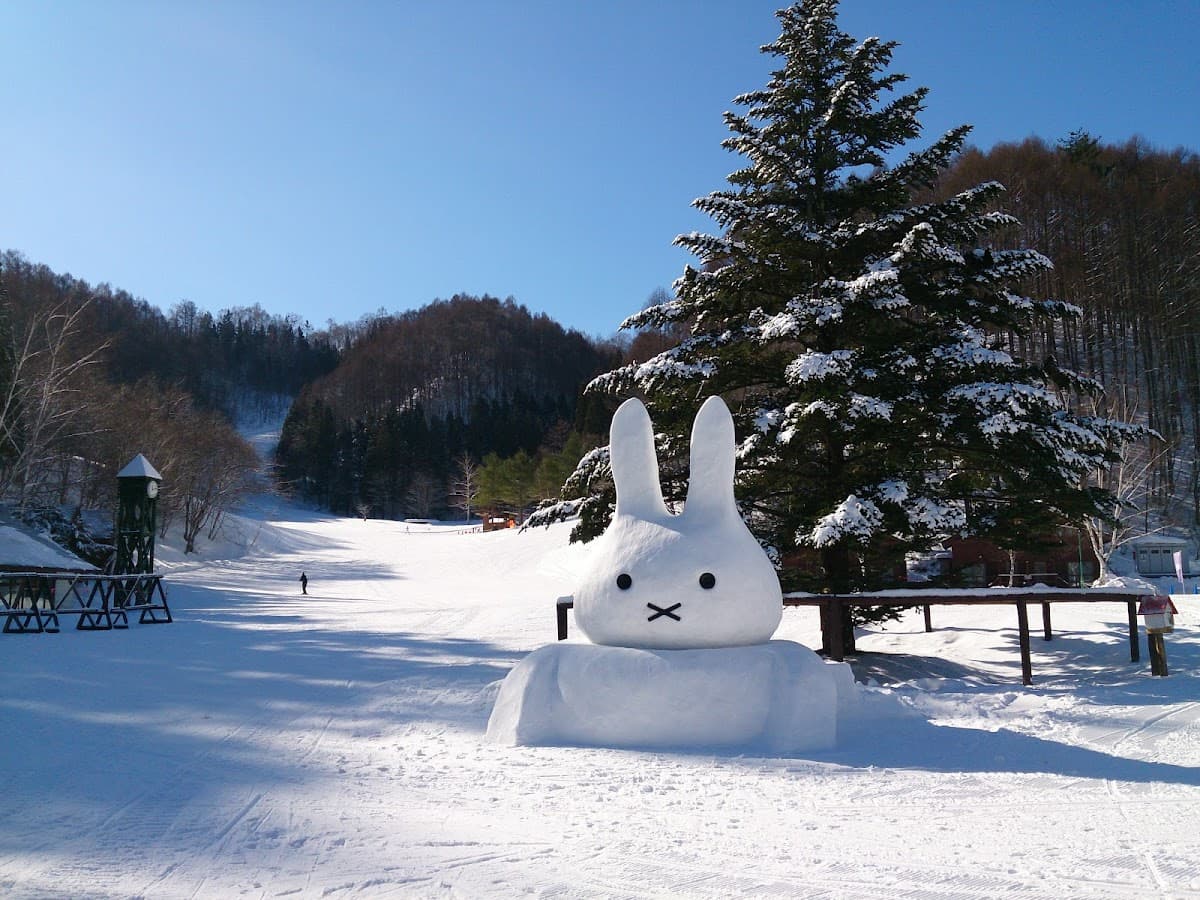 Pass per 5 piste dell'Oze Katashina Village Ski Resort