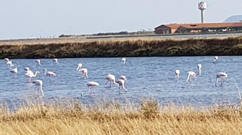 Saline Conti Vecchi