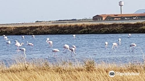 Saline Conti Vecchi