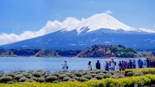 Excursão de 1 dia pelas Fuji Five Lakes no outono: Lake Kawaguchi, Lake Yamanaka, Lawson, Hikawa Clock Shop