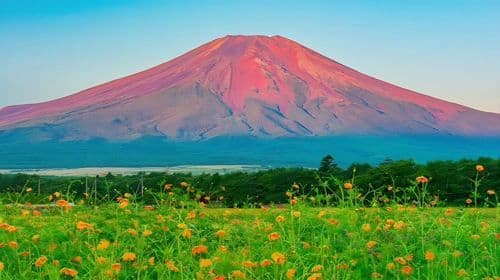 Excursão de 1 dia pelas Fuji Five Lakes no outono: Lake Kawaguchi, Lake Yamanaka, Lawson, Hikawa Clock Shop