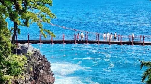 1-day holiday tour for small groups of 9: Izu Kyuko Line + Jogasaki Coast + Mt. Omuro, including train tickets Day Tours