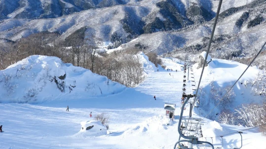 1-day Kansai Ski Tour: Oiuchi Ski Resortでのパウダースノー体験(大阪発着)