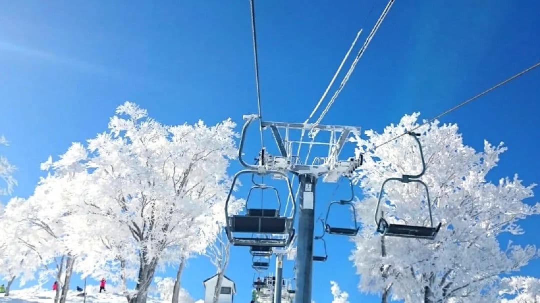 1-tägige Kansai-Skitour: Pulverschnee-Erlebnis im Oiuchi Ski Resort mit Hin- und Rückfahrt ab Osaka