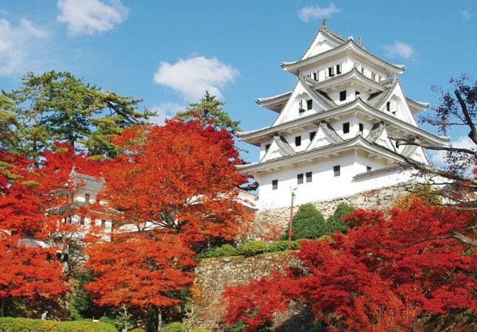 A day trip to Kami-Yamana, Hida, Takayama, and Shirakawa-go Gassho-zukuri villages in Nagoya.