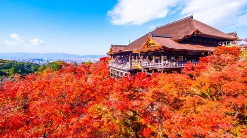 A Day Trip to Kyoto and Nara, Japan (Kiyomizu-dera Temple, Fushimi Inari Shrine, and Deer Meet in Nara Park) Day Tours