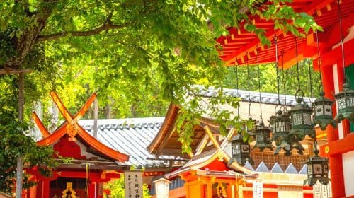 A Day Trip to Kyoto and Nara, Japan (Kiyomizu-dera Temple, Fushimi Inari Shrine, and Deer Meet in Nara Park) Day Tours