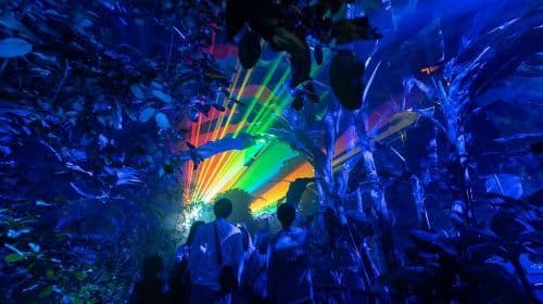 Kyoto: Light Cycles by Moment Factory with Yukata Rental Day Tours