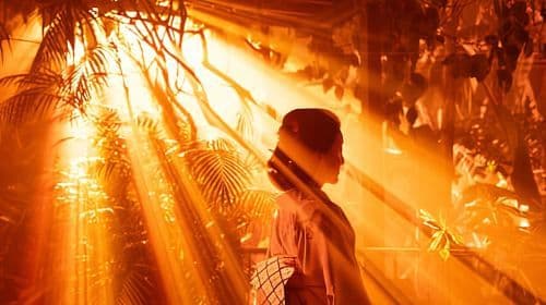 Kyoto: Light Cycles by Moment Factory with Yukata Rental Day Tours