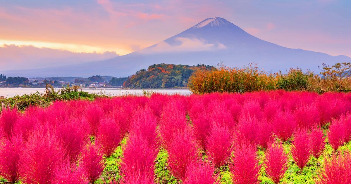 Mount Fuji周辺の人気のInstagramスポットを巡る日帰り旅行