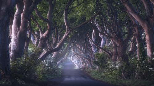 Excursão ao Giants Causeway e Game of Thrones saindo de Belfast