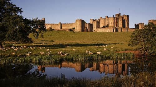 Alnwick Castle, Northumberland and Borders Tour with Admission
