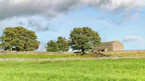 Bampton, Churchill House, and Cotswolds one-day tour[Parent-Child Special Line I private charter Special Line]