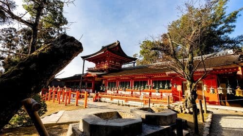 Kyoto: Nara, Todaiji, Kasuga Taisha Shrine Private Full Day Day Tours