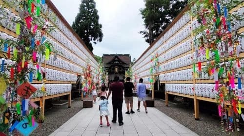 Kyoto: tour privato e personalizzato (a piedi/trasporti pubblici) Tour giornalieri