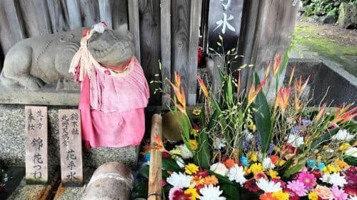 Kyoto: tour privato e personalizzato (a piedi/trasporti pubblici) Tour giornalieri