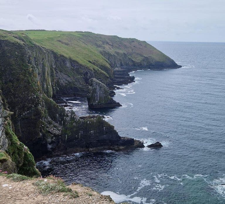 Cork: Shore Excursion Experience