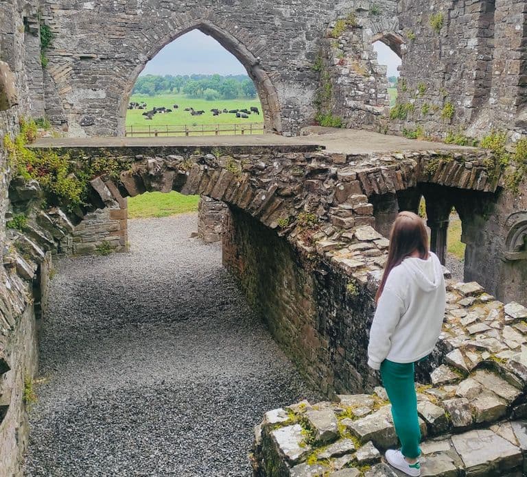 Day Tour: Hill of Tara Trim Castle Boyne Valley Celtic sites