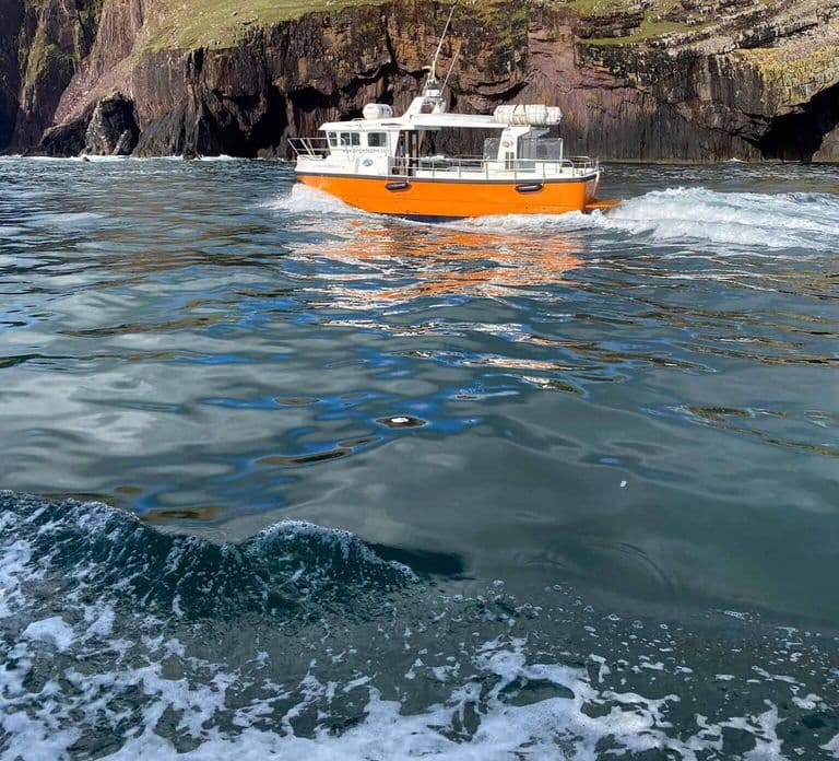 Dingle: Dingle Bay Cliffs Boottocht met gids (1 uur)
