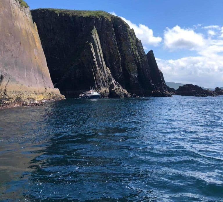 Dingle: Dingle Bay Cliffs Boottocht met gids (1 uur)