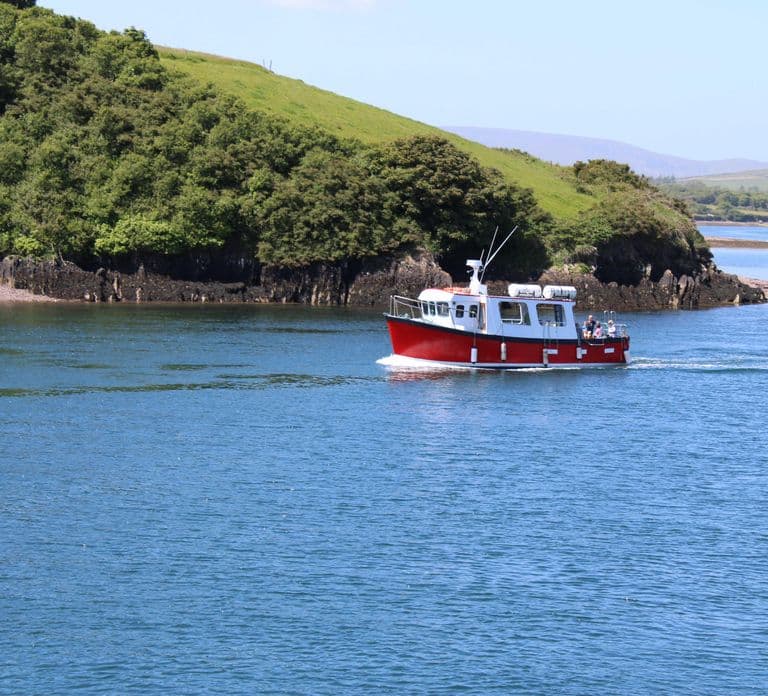 Dingle: Passeio de Barco Mini Eco Guiado (2 Horas)